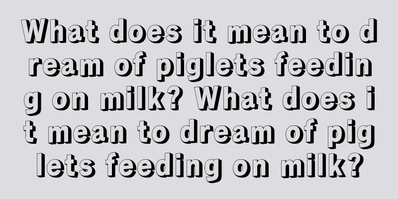 What does it mean to dream of piglets feeding on milk? What does it mean to dream of piglets feeding on milk?