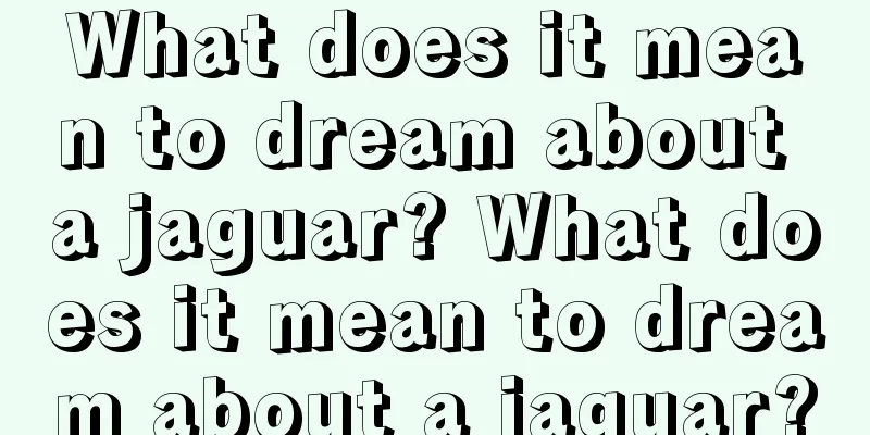 What does it mean to dream about a jaguar? What does it mean to dream about a jaguar?