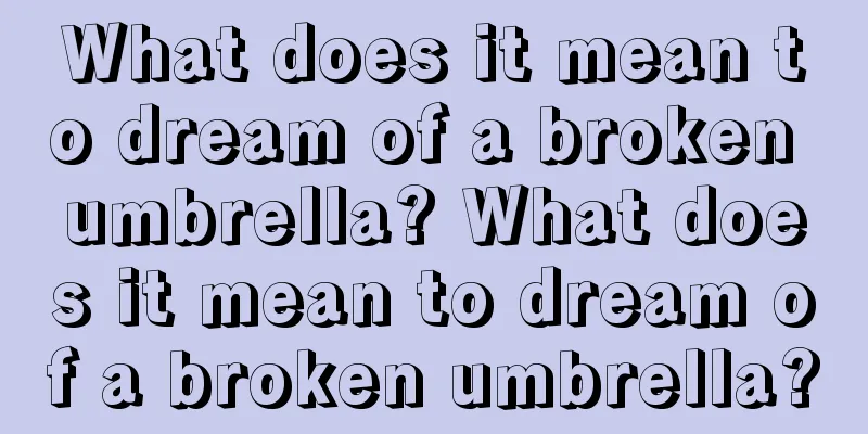 What does it mean to dream of a broken umbrella? What does it mean to dream of a broken umbrella?