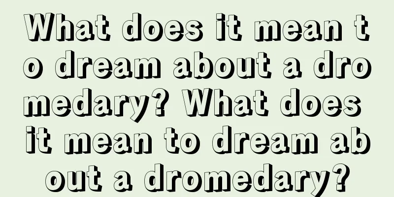 What does it mean to dream about a dromedary? What does it mean to dream about a dromedary?