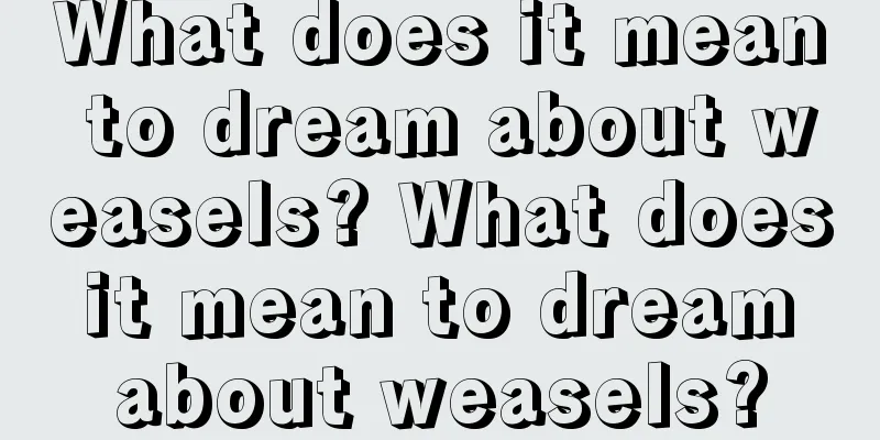 What does it mean to dream about weasels? What does it mean to dream about weasels?