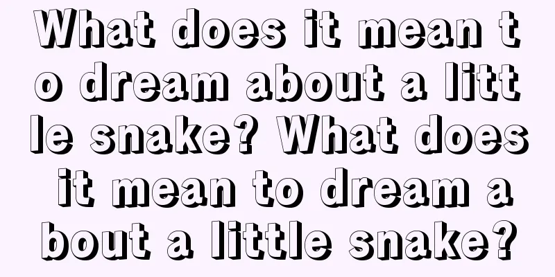 What does it mean to dream about a little snake? What does it mean to dream about a little snake?