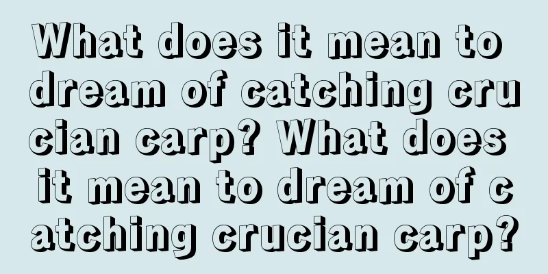 What does it mean to dream of catching crucian carp? What does it mean to dream of catching crucian carp?