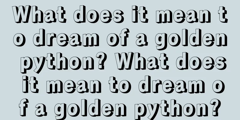 What does it mean to dream of a golden python? What does it mean to dream of a golden python?