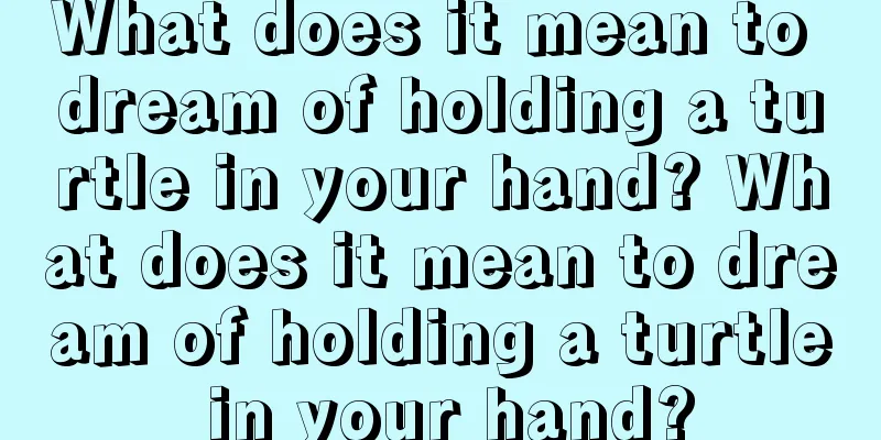 What does it mean to dream of holding a turtle in your hand? What does it mean to dream of holding a turtle in your hand?