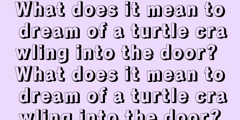 What does it mean to dream of a turtle crawling into the door? What does it mean to dream of a turtle crawling into the door?