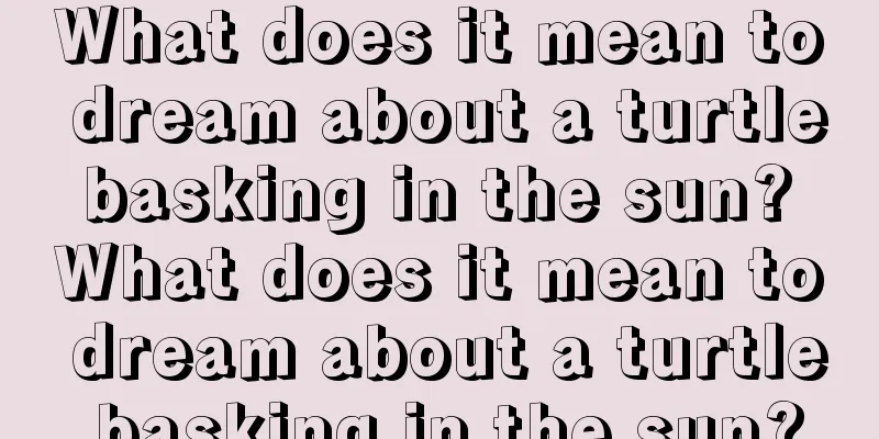 What does it mean to dream about a turtle basking in the sun? What does it mean to dream about a turtle basking in the sun?