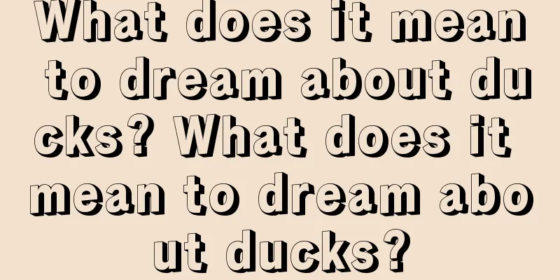 What does it mean to dream about ducks? What does it mean to dream about ducks?