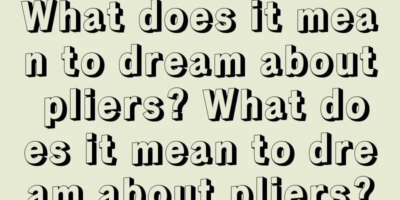 What does it mean to dream about pliers? What does it mean to dream about pliers?