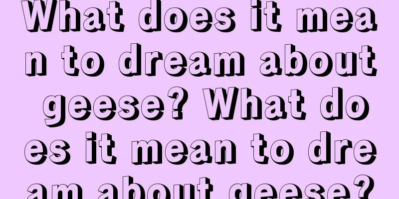 What does it mean to dream about geese? What does it mean to dream about geese?