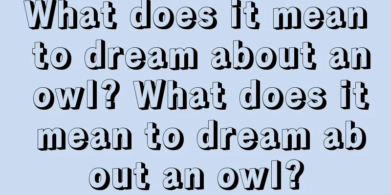 What does it mean to dream about an owl? What does it mean to dream about an owl?