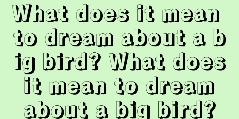 What does it mean to dream about a big bird? What does it mean to dream about a big bird?