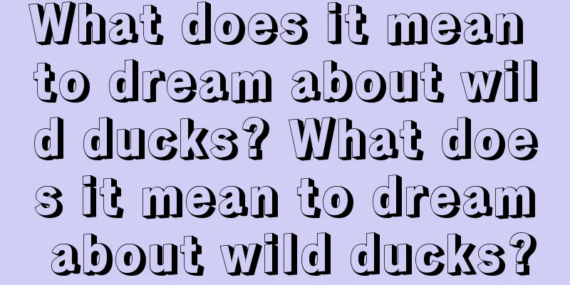 What does it mean to dream about wild ducks? What does it mean to dream about wild ducks?