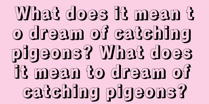 What does it mean to dream of catching pigeons? What does it mean to dream of catching pigeons?