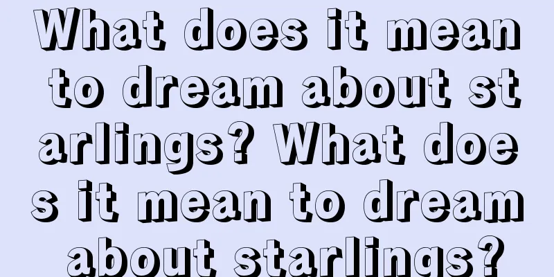 What does it mean to dream about starlings? What does it mean to dream about starlings?