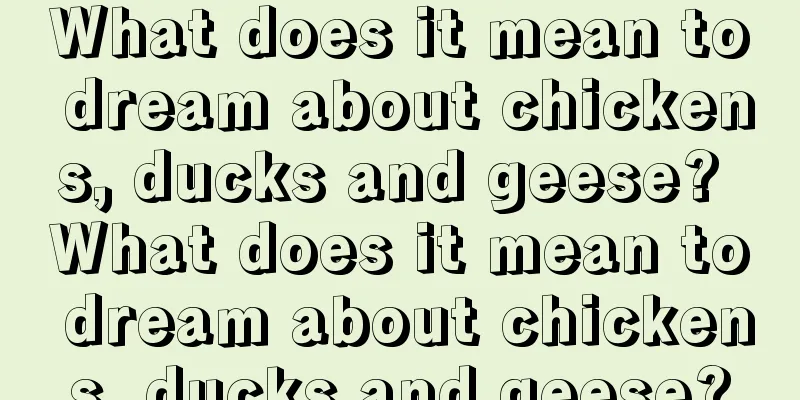 What does it mean to dream about chickens, ducks and geese? What does it mean to dream about chickens, ducks and geese?