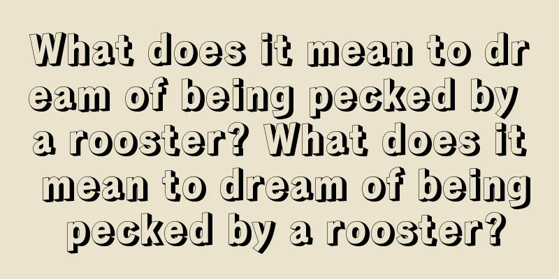 What does it mean to dream of being pecked by a rooster? What does it mean to dream of being pecked by a rooster?