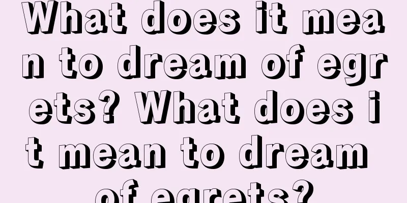 What does it mean to dream of egrets? What does it mean to dream of egrets?