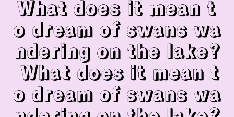 What does it mean to dream of swans wandering on the lake? What does it mean to dream of swans wandering on the lake?