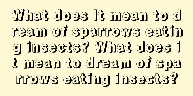 What does it mean to dream of sparrows eating insects? What does it mean to dream of sparrows eating insects?