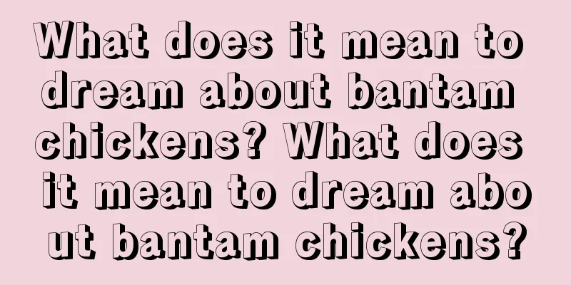 What does it mean to dream about bantam chickens? What does it mean to dream about bantam chickens?