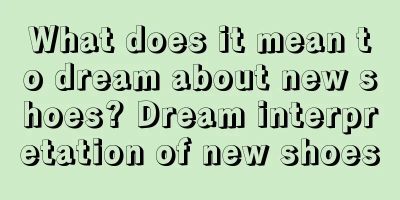 What does it mean to dream about new shoes? Dream interpretation of new shoes