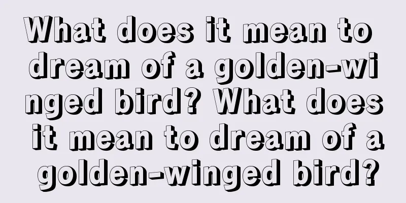 What does it mean to dream of a golden-winged bird? What does it mean to dream of a golden-winged bird?