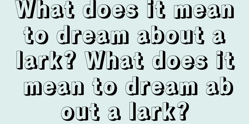 What does it mean to dream about a lark? What does it mean to dream about a lark?