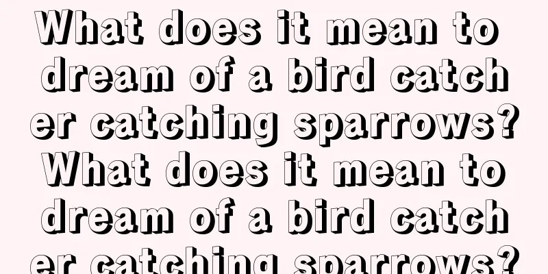 What does it mean to dream of a bird catcher catching sparrows? What does it mean to dream of a bird catcher catching sparrows?