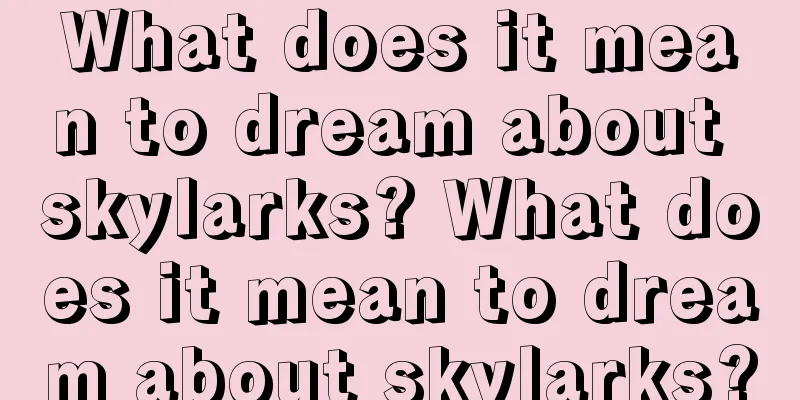 What does it mean to dream about skylarks? What does it mean to dream about skylarks?