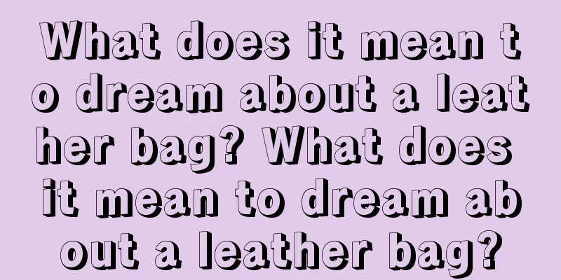 What does it mean to dream about a leather bag? What does it mean to dream about a leather bag?