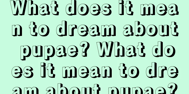 What does it mean to dream about pupae? What does it mean to dream about pupae?