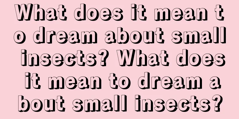 What does it mean to dream about small insects? What does it mean to dream about small insects?