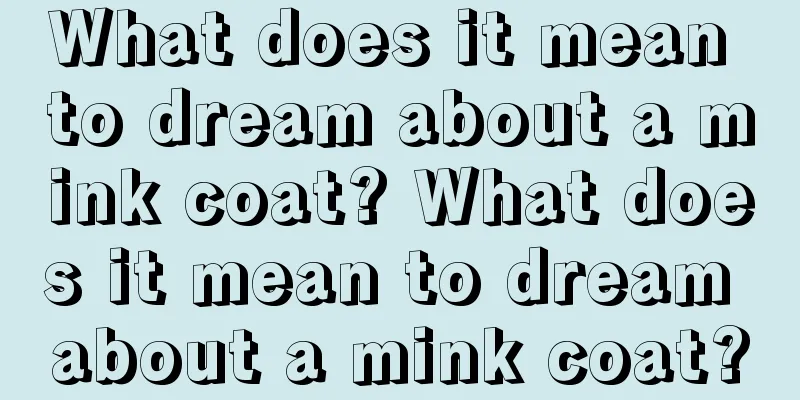 What does it mean to dream about a mink coat? What does it mean to dream about a mink coat?