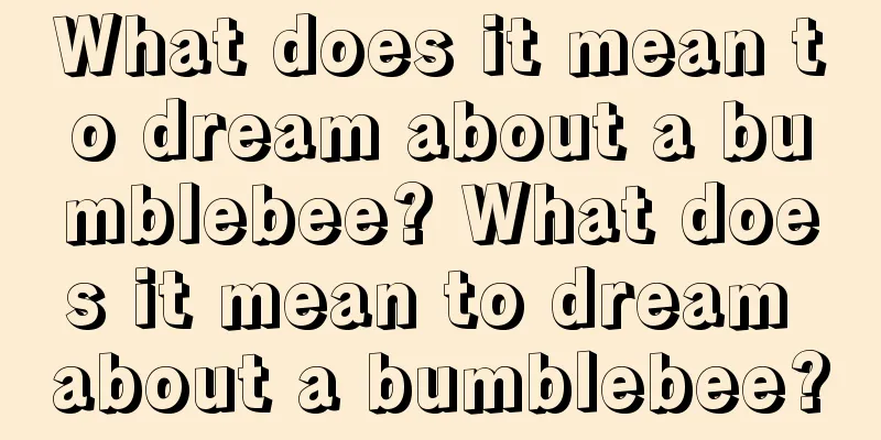 What does it mean to dream about a bumblebee? What does it mean to dream about a bumblebee?