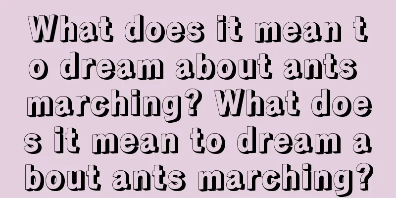 What does it mean to dream about ants marching? What does it mean to dream about ants marching?