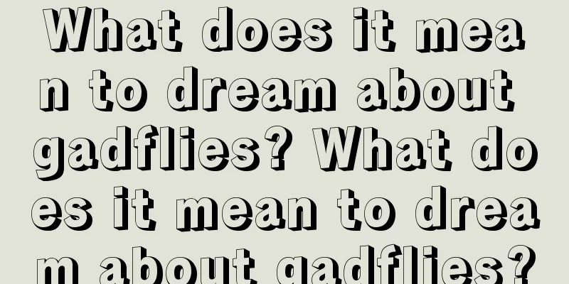 What does it mean to dream about gadflies? What does it mean to dream about gadflies?