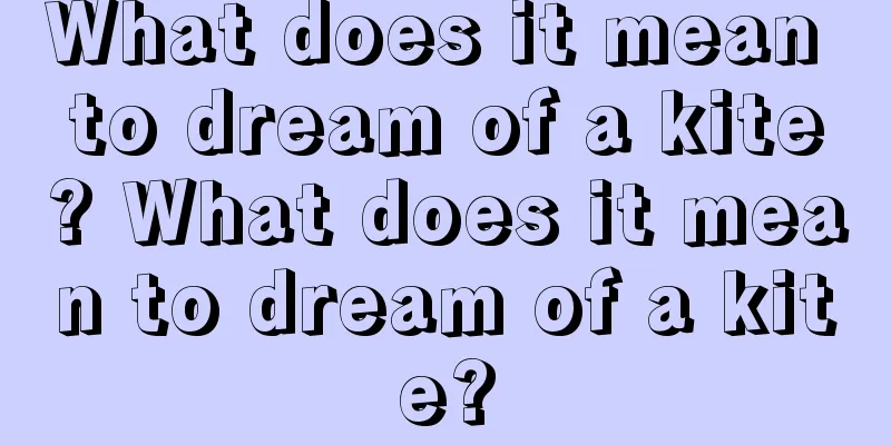 What does it mean to dream of a kite? What does it mean to dream of a kite?