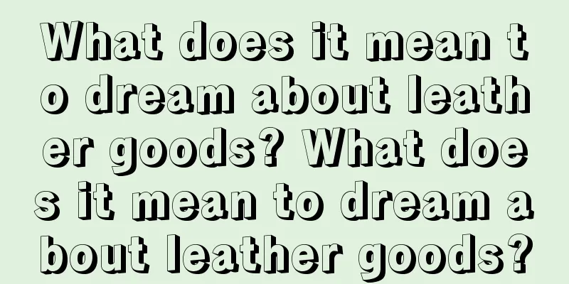 What does it mean to dream about leather goods? What does it mean to dream about leather goods?