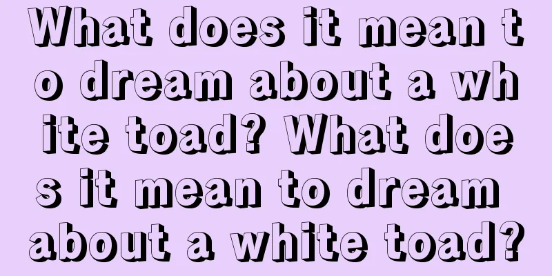 What does it mean to dream about a white toad? What does it mean to dream about a white toad?