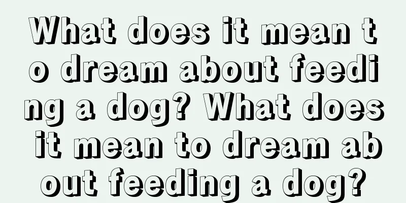 What does it mean to dream about feeding a dog? What does it mean to dream about feeding a dog?