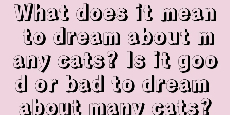 What does it mean to dream about many cats? Is it good or bad to dream about many cats?