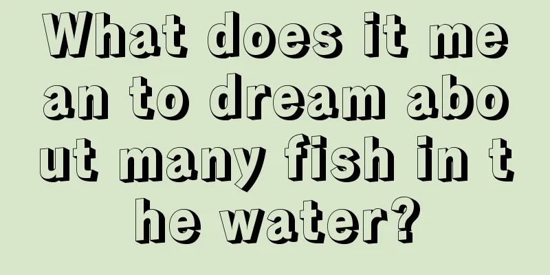 What does it mean to dream about many fish in the water?