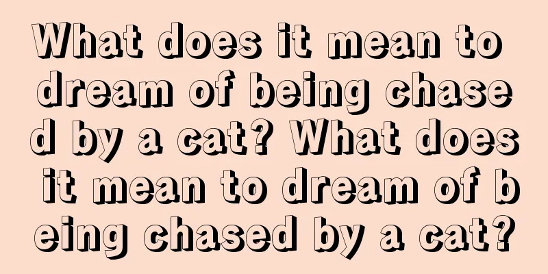 What does it mean to dream of being chased by a cat? What does it mean to dream of being chased by a cat?