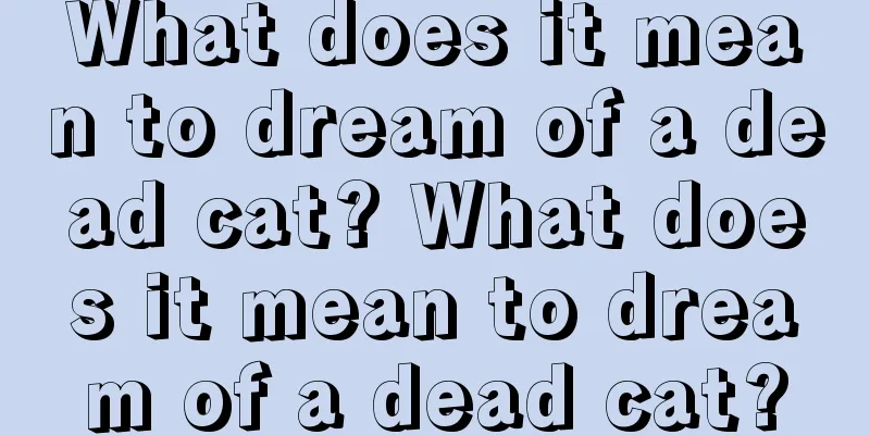 What does it mean to dream of a dead cat? What does it mean to dream of a dead cat?