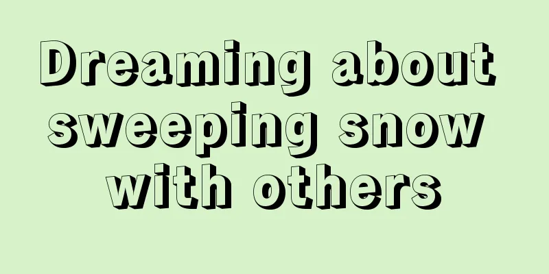 Dreaming about sweeping snow with others