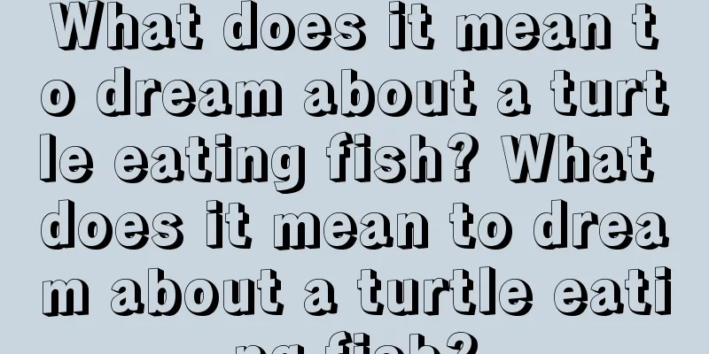 What does it mean to dream about a turtle eating fish? What does it mean to dream about a turtle eating fish?