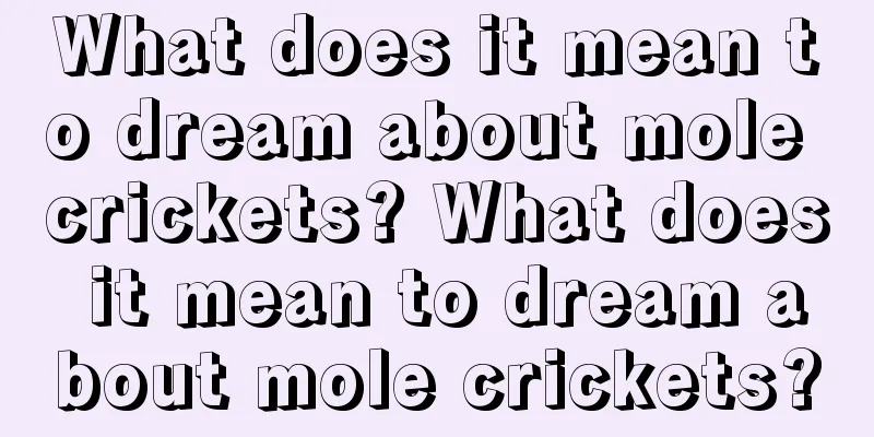 What does it mean to dream about mole crickets? What does it mean to dream about mole crickets?