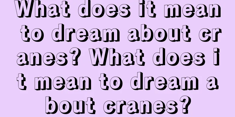 What does it mean to dream about cranes? What does it mean to dream about cranes?