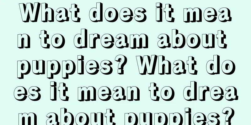 What does it mean to dream about puppies? What does it mean to dream about puppies?